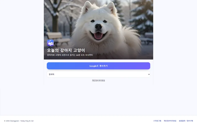 댕그램 매치 — 오늘의 강아지 고양이