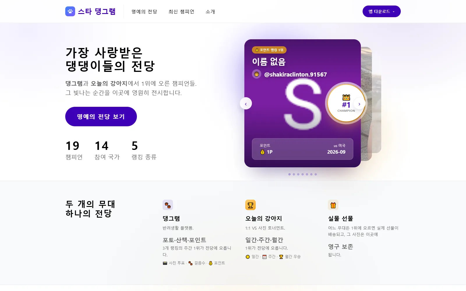 스타 댕그램